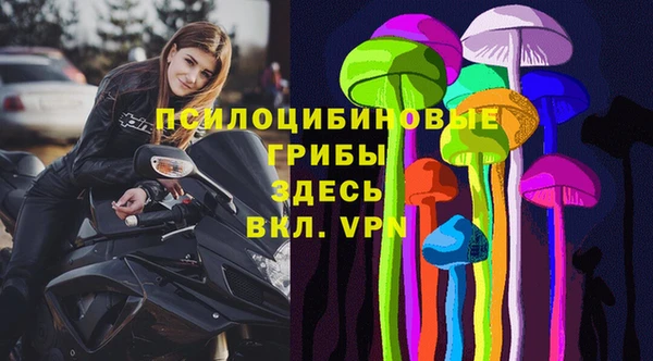 прущие крисы Богданович