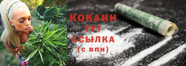 прущие крисы Богданович