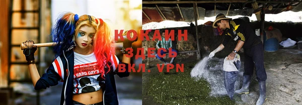 тгк Богородицк