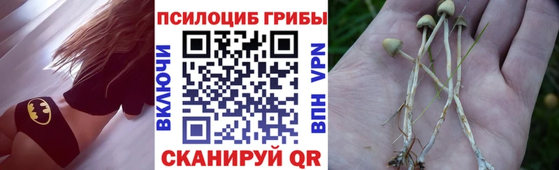 ОМГ ОМГ вход  Тольятти  Галлюциногенные грибы GOLDEN TEACHER 
