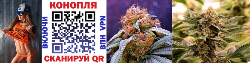 Каннабис индика как найти наркотики МЕГА ссылки Тольятти